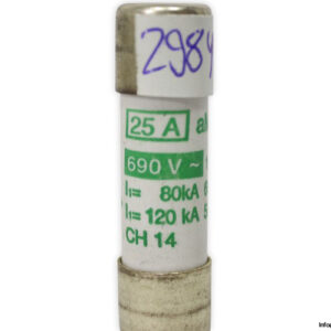 WEBER-1432025-cylindrical-fuse(new)-2