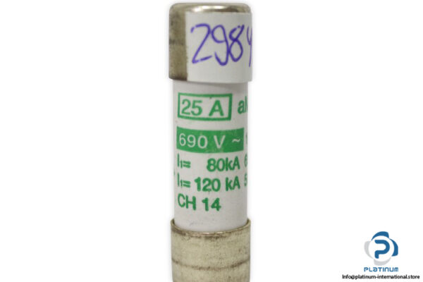 WEBER-1432025-cylindrical-fuse(new)-2