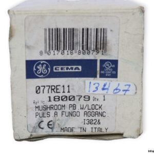 ge-077RE11-push-button-(new)-1
