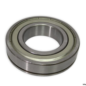 bw-6209-ZNR-deep-groove-ball-bearing-(new)-(carton)