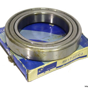 zwz-6017-2Z_C3-deep-groove-ball-bearing-(new)-(carton)