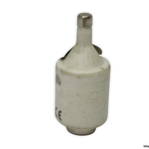 Ferraz-shawmut-diigg50v2-2a-500v-fuse-link(new)