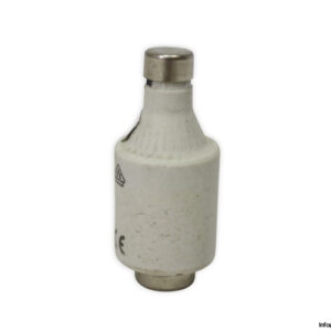 Ferraz-shawmut-DIIGG50V16-16a-500v-fuse-link(new)