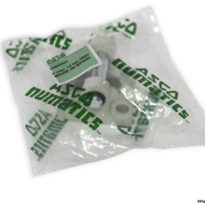 asco-43900021-trunnion-mounting(new)