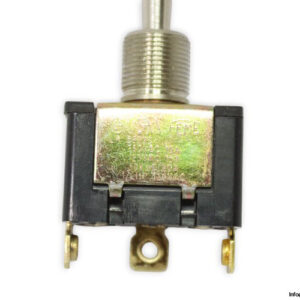 SIV-C_2T-toggle-switch-(new)-2