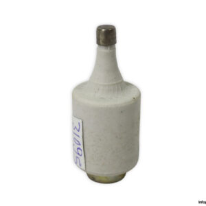 siemens-5SB2-31-6a-bottle-fuse-link-(New)