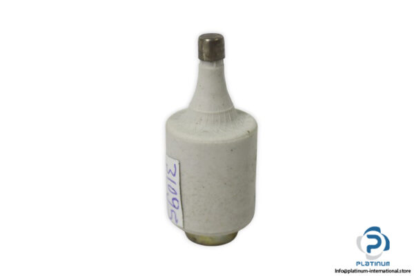 siemens-5SB2-31-6a-bottle-fuse-link-(New)