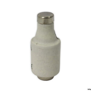 ferraz-shawmut-DIIGG50V20-20a-bottle-fuse-link-(New)