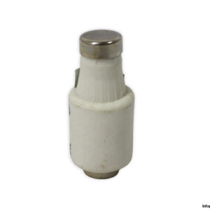 ferraz-shawmut-DIIGG50V25-25a-bottle-fuse-link-(New)