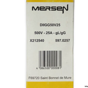 ferraz-shawmut-DIIGG50V25-25a-bottle-fuse-link-(New)-5