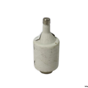 ferraz-shawmut-DIIGG50V6-6a-bottle-fuse-link-(New)