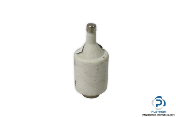 ferraz-shawmut-DIIGG50V6-6a-bottle-fuse-link-(New)