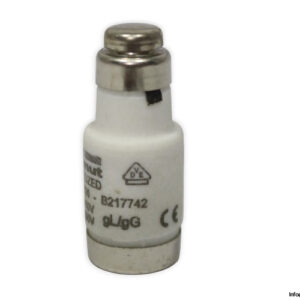 ferraz-shawmut-D02GG40V20-20a-bottle-fuse-link-(New)-4