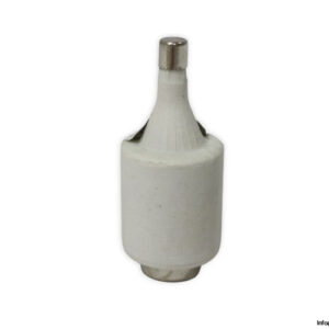 OVE-GL-GG-2a-bottle-fuse-link-(New)