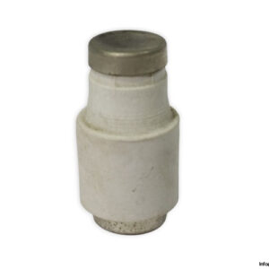 ljs-10a-bottle-fuse-link-(New)