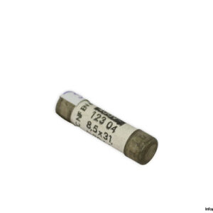 legrand-123-04-GG-cylindrical-fuse-(New)