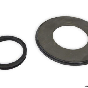 skf-TSN-616-A-v-ring-seal-(new)