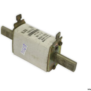 Ljs-lindner-NH0-TF-100a-fuse-link-(New)