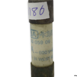 siba-5005906-20a-cylindrical-fuse-(New)-2
