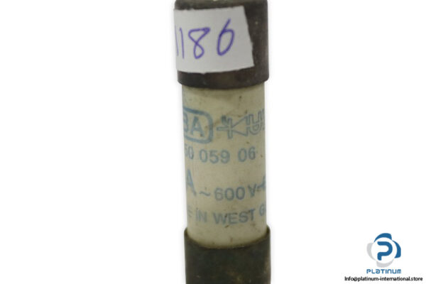 siba-5005906-20a-cylindrical-fuse-(New)-2