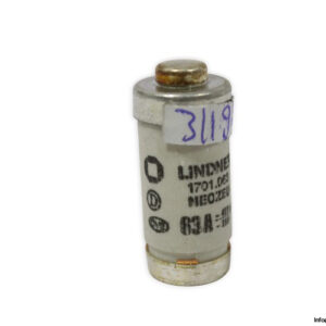 lindner-1701.063-GL-GG-63a-bottle-fuse-link-(New)-1