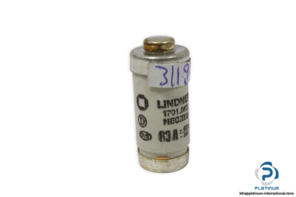 lindner-1701.063-GL-GG-63a-bottle-fuse-link-(New)-1