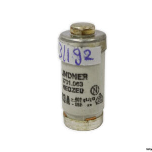 lindner-1701.063-GL-GG-63a-bottle-fuse-link-(New)-2