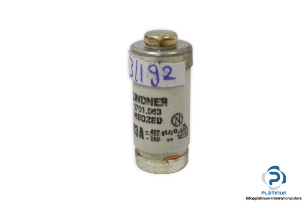 lindner-1701.063-GL-GG-63a-bottle-fuse-link-(New)-2