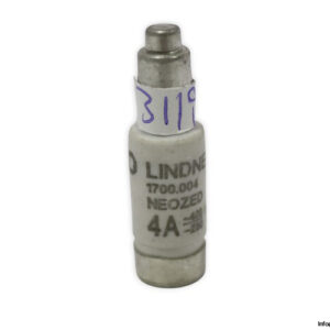 lindner-1700.004-GL-GG-4a-bottle-fuse-link-(New)-1