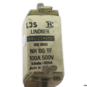 ljs-lindner-NH00-TF-100a-fuse-link-(Used)-1