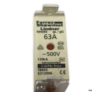 ferraz-shawmut-NH000-GL_GG-63a-fuse-link-(New)-1