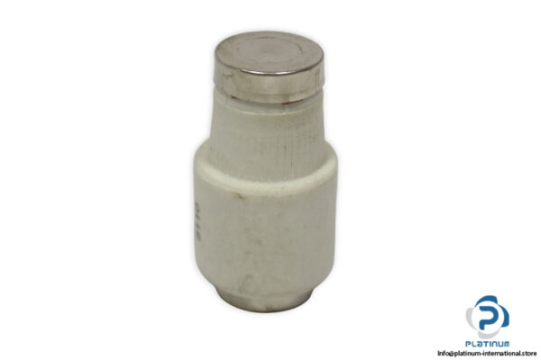lindner-598.0637-GL-63a-bottle-fuse-link-(New)