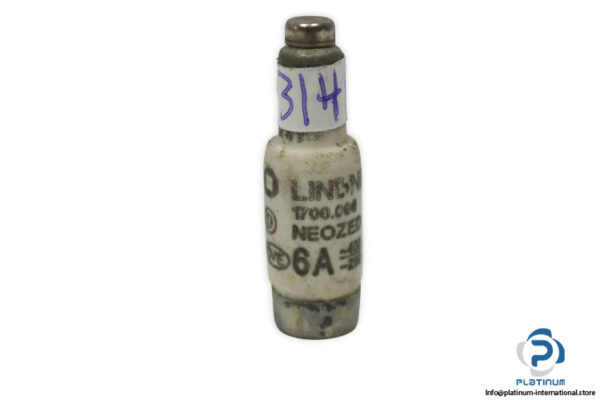lindner-1700.006-GL-GG-6a-bottle-fuse-link-(New)-1