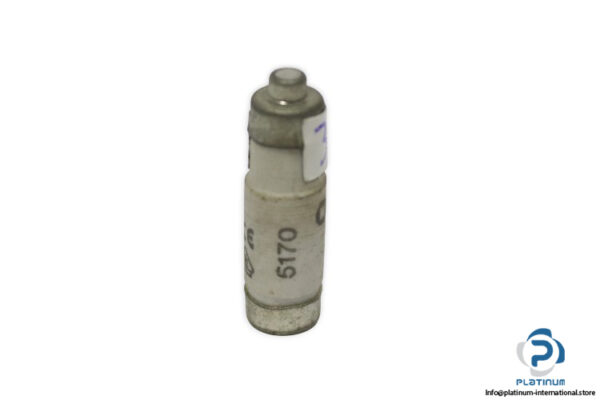 lindner-1700.018-GL-GG-16a-bottle-fuse-link-(New)