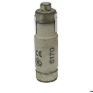 lindner-1700.018-GL-GG-16a-bottle-fuse-link-(New)-3
