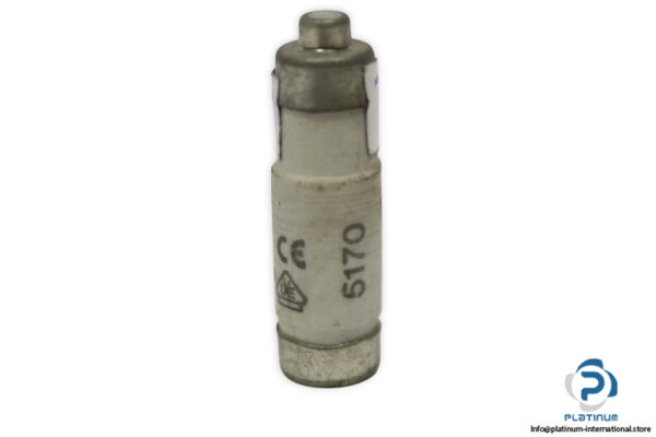 lindner-1700.018-GL-GG-16a-bottle-fuse-link-(New)-3