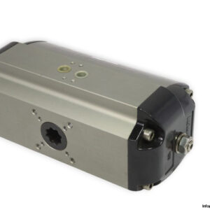 AUTOMAX-S100S10S01-pneumatic-actuator(new-CARTON)-2
