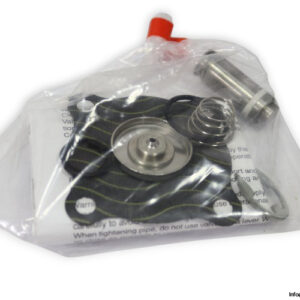 asco-C123433---1BW-spare-parts-kit(new)-1