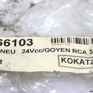 Goyen-rca3d2-solenoid-pilot-valve(new)-3