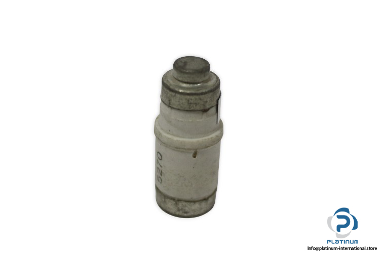lindner-1701.035-GL-GG-35a-bottle-fuse-link-(Used)