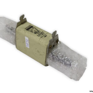 lindner-NH1-8001-GL-GG-80a-fuse-link-(New)