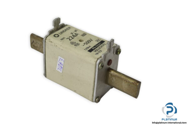 lindner-NH1-1B173-gl-gg-224a-120ka-fuse-link-(New)