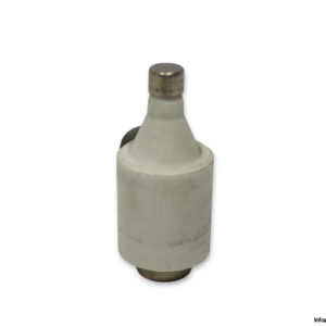weber-DII-F-10a-bottle-fuse-link-(New)