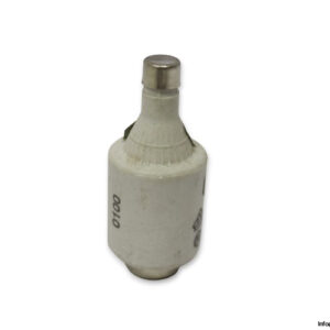 lindner-597.0107-GL-GG-10a-bottle-fuse-link-(New)