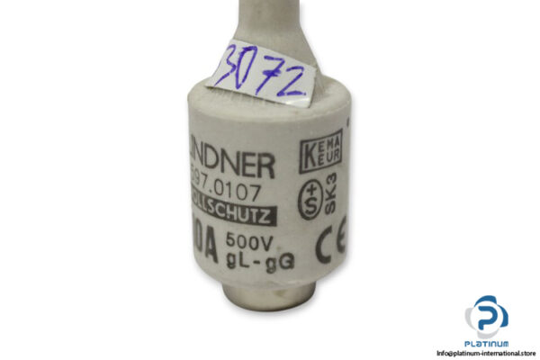 lindner-597.0107-GL-GG-10a-bottle-fuse-link-(New)-2