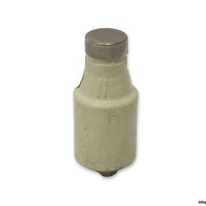 siba-1000507-25a-bottle-fuse-link-(New)