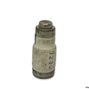 lindner-1701.025-GL-GG-25a-bottle-fuse-link-(New)