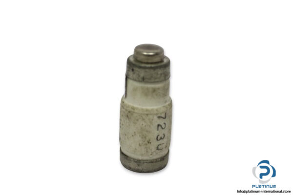 lindner-1701.025-GL-GG-25a-bottle-fuse-link-(New)