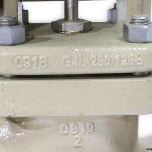 samson-3244-DN50-PN16-pneumatic-control-valve-(new)-5