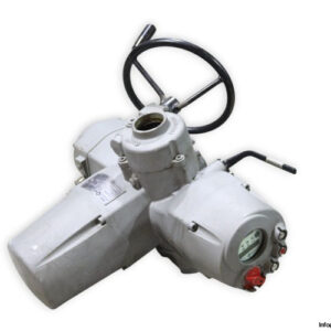 biffi-ICON-030_360-36-electric-actuator-(used)